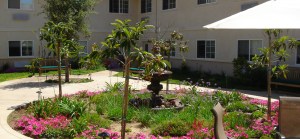 Courtesy Regency Fallbrook 2